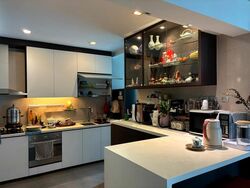 Parc Oasis (D22), Condominium #520142671